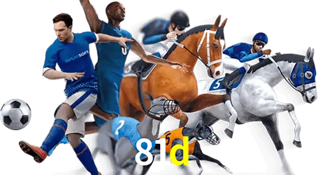 81d