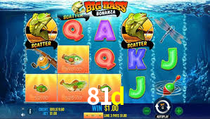 81d,81d.com